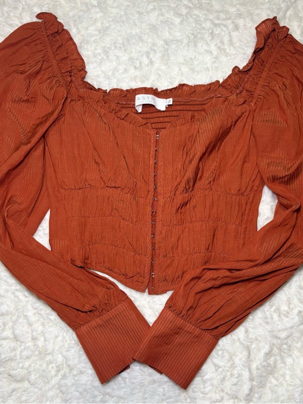 Astr Rust Smocked Puff Sleeve Crop Blouse